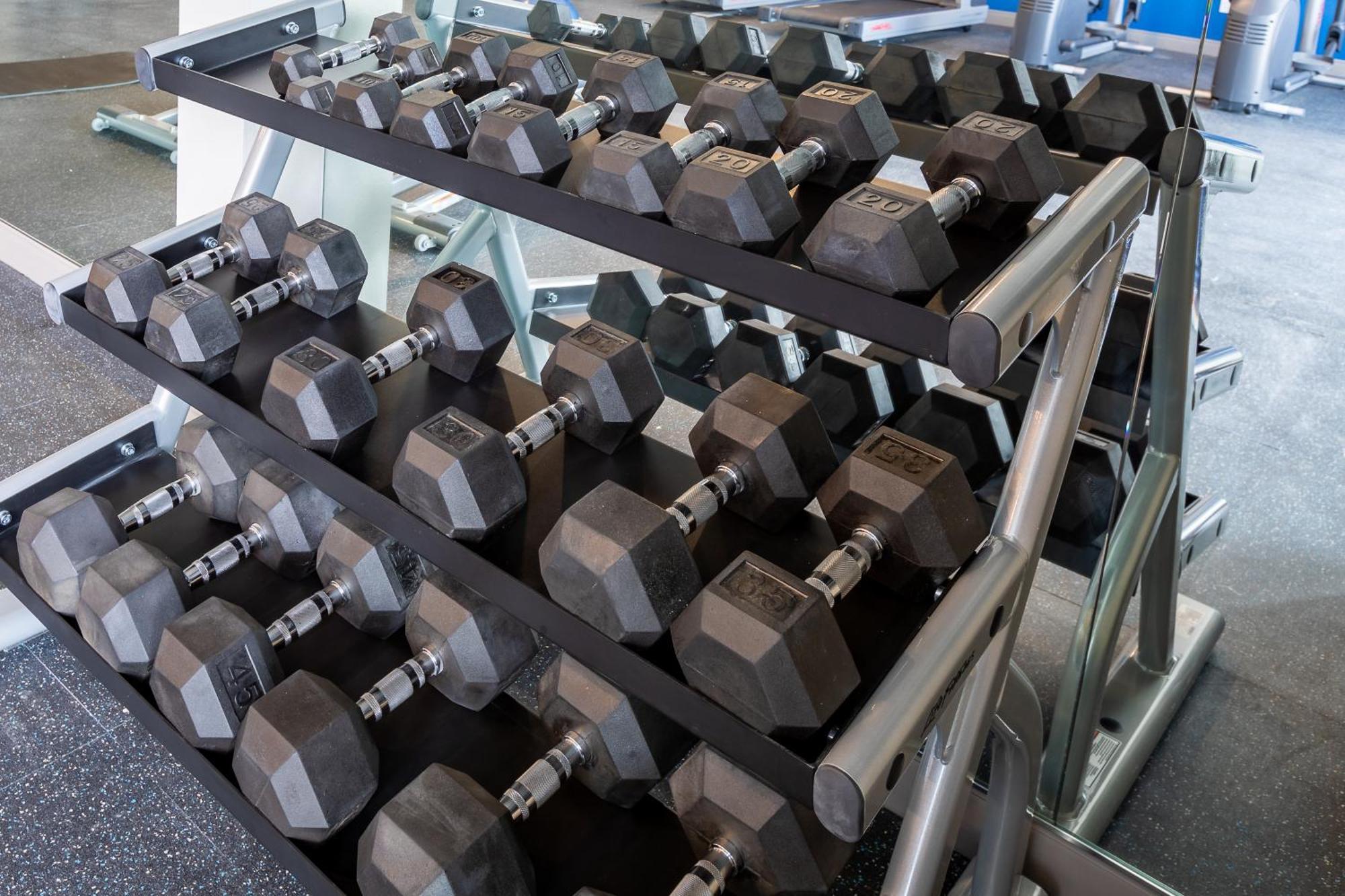 Holiday Inn Express & Suites Englewood - Denver South By Ihg Lone Tree Luaran gambar